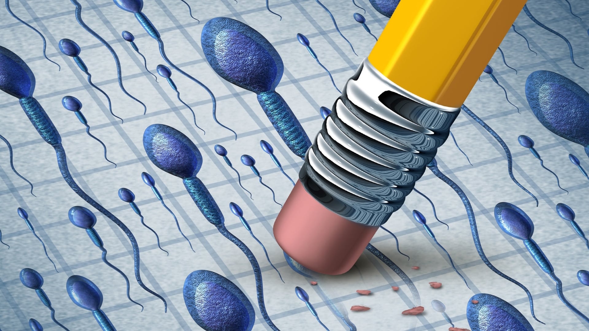 The Role of Diet in Declining Sperm Counts