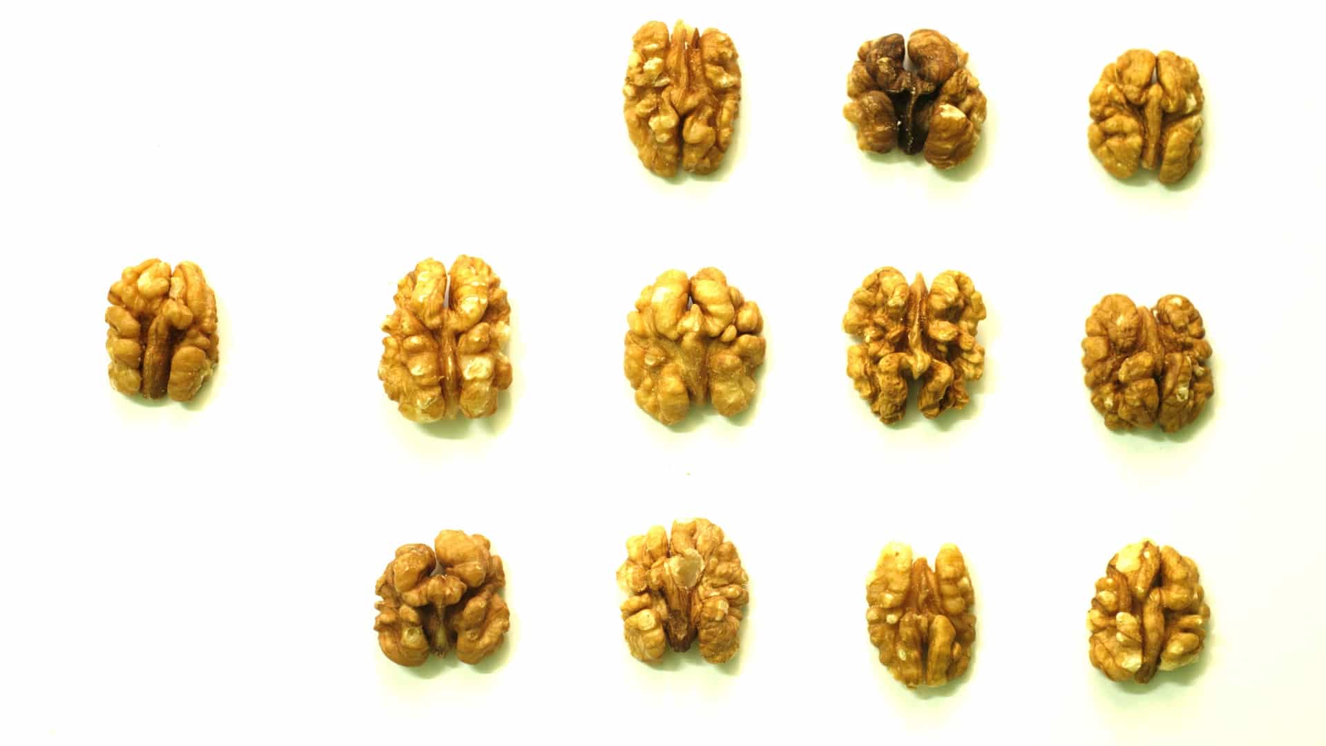 walnuts lined up on a white background