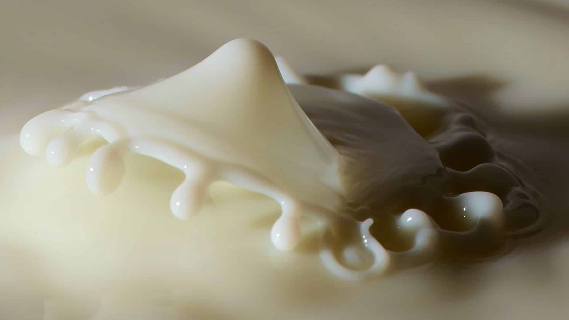 The Great Protein Fiasco