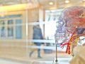 Does Marijuana Cause Permanent Brain Damage in Adults?
