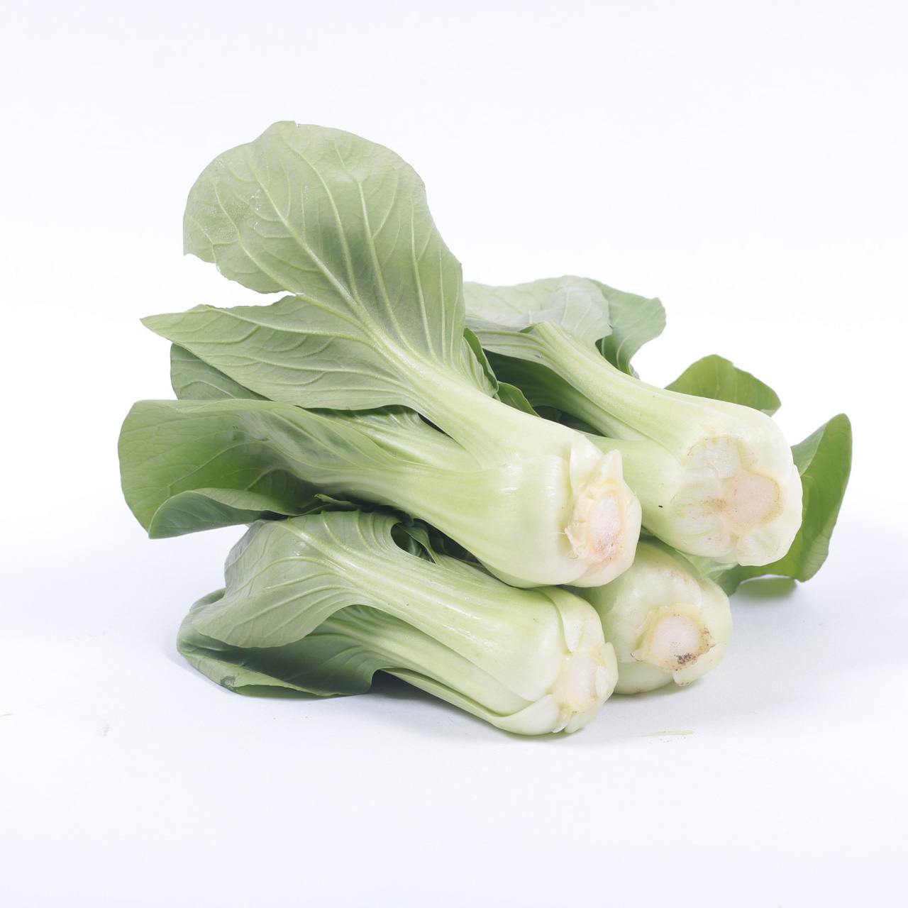 Bok Choy