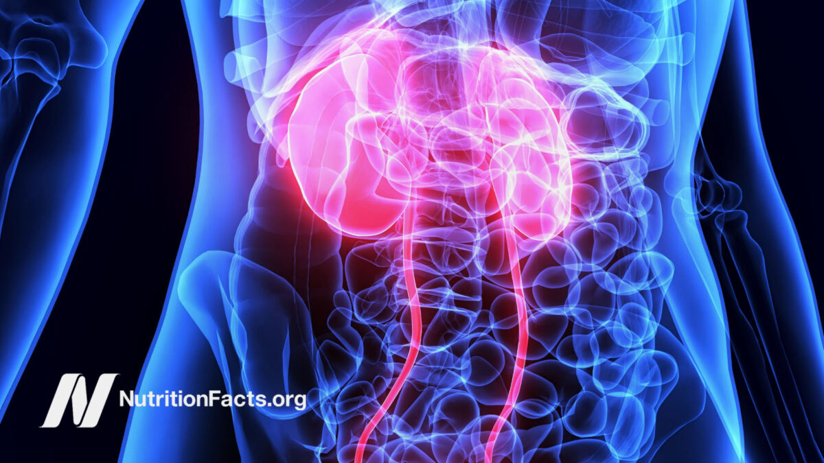 Digital illustration of human pelvic region