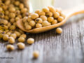 soy beans on a wooden spoon